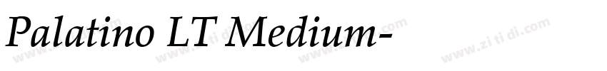 Palatino LT Medium字体转换